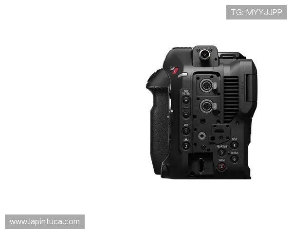 尊龙z6.com手机登录流程详解确保每一步操作都顺畅无误