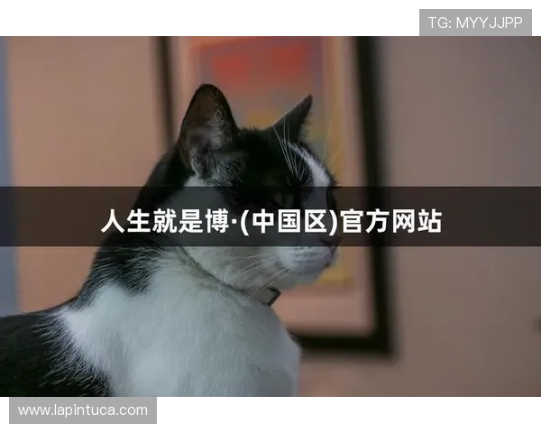 揭秘凯时尊龙官方网站背后的技术支持与用户信任的秘诀 揭秘凯时尊龙官方网站背后的技术支持与用户信任的秘诀