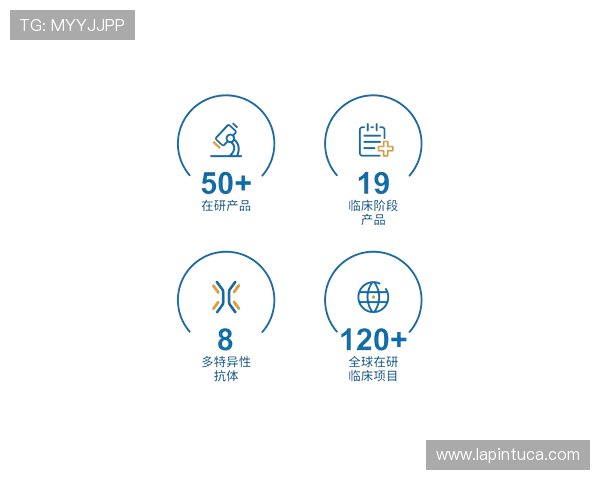 Z6尊龙备用网址常见问题解答,解决玩家在登录过程中遇到的各种疑难杂症 Z6尊龙备用网址常见问题解答,解决玩家在登录过程中遇到的各种疑难杂症
